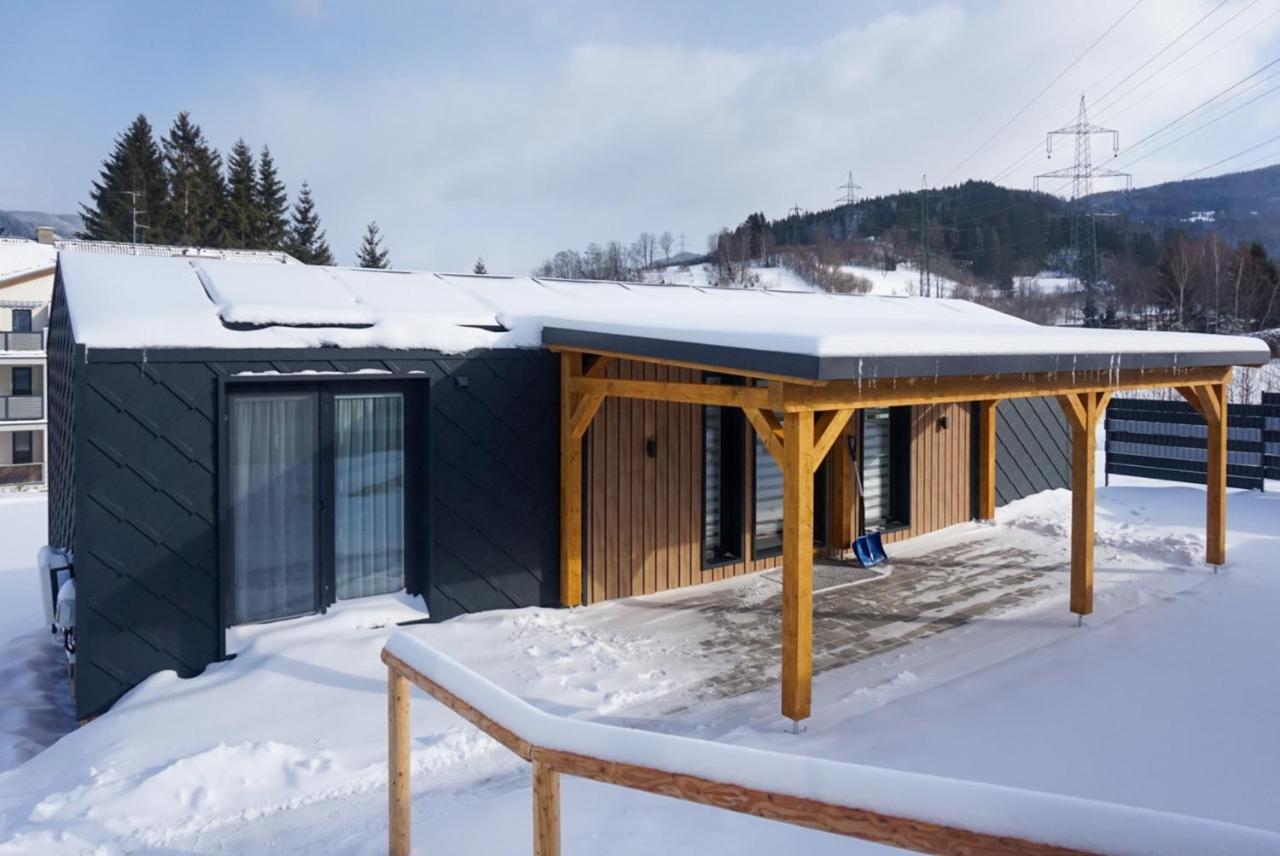 Chalet Stuhleckblick-Ferienhaus Direkt An Der Piste Und Mit Eigener Sauna Spital am Semmering Kültér fotó